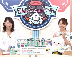 tvk猫のひたいほどワイド　3月のテーマは、「歯周病を予防する毎日のケア ～正しいブラッシングと歯間清掃具の使い方～」です！